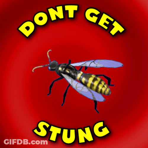 Not The Bees Don't Get Stung GIF