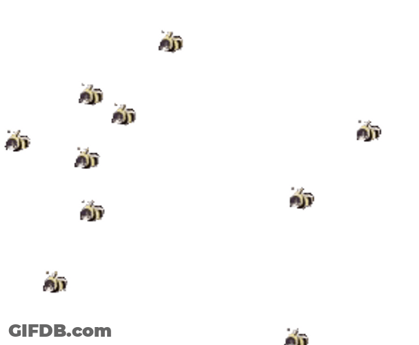 Not The Bees Everywhere GIF