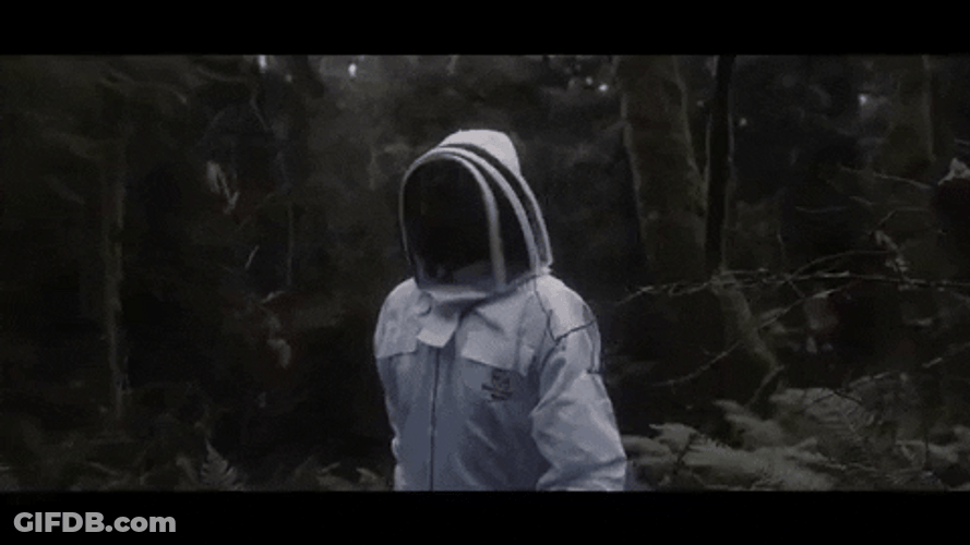 Not The Bees Keeper GIF