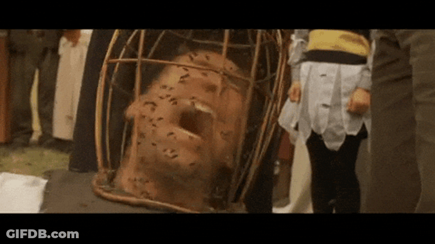 Not The Bees Man In The Cage GIF