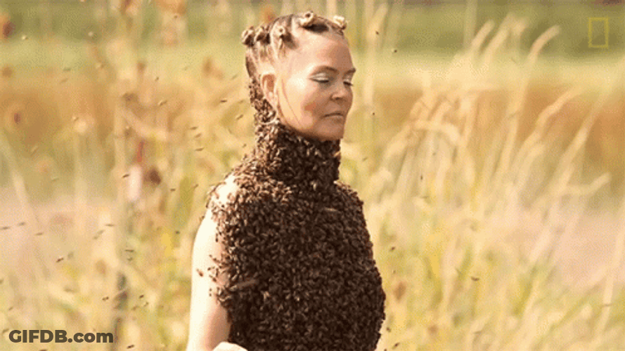 Not The Bees Queen Bee GIF