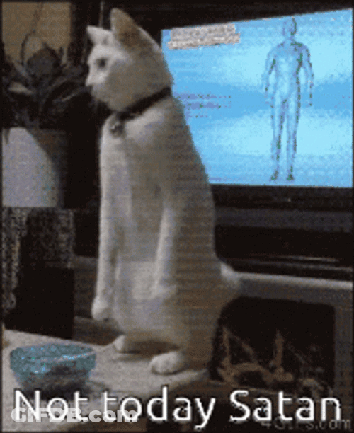 Not Today Satan White Cat GIF