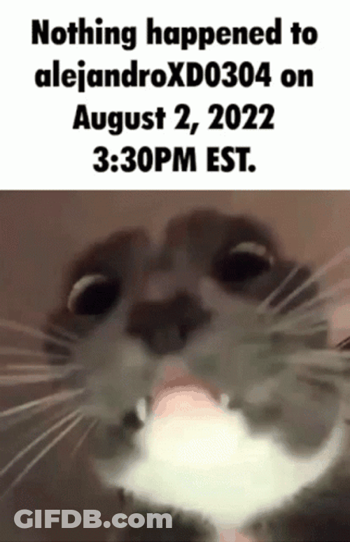Nothing Happened To Alejandro GIF