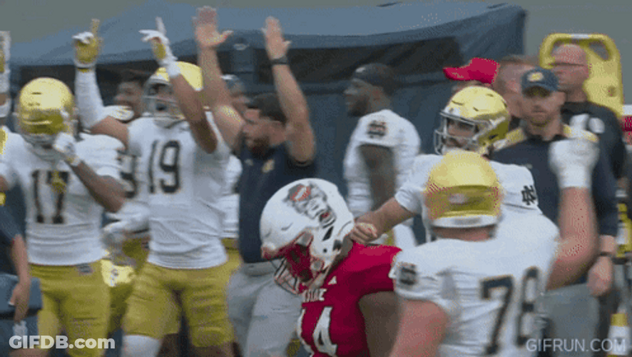 Notre Dame Fighting Irish Football GIF
