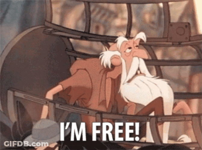 Notre Dame I'm Free GIF