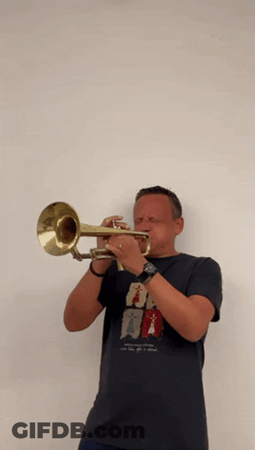 Notti Bop Played In Brass Orchestra GIF