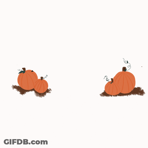 November Animated Text Loop Pumpkins GIF