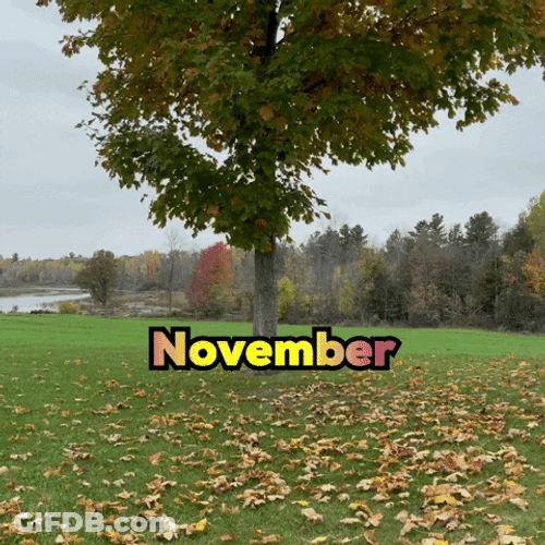 November Text Design Autumn Falling Leaves GIF