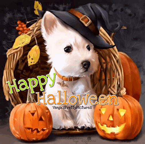 November2021happy Haloween Meme GIF
