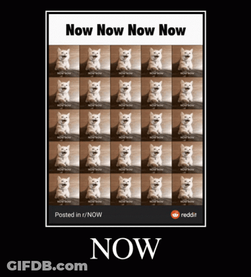 Now GIF
