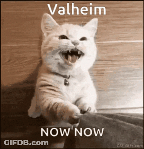 Now GIF