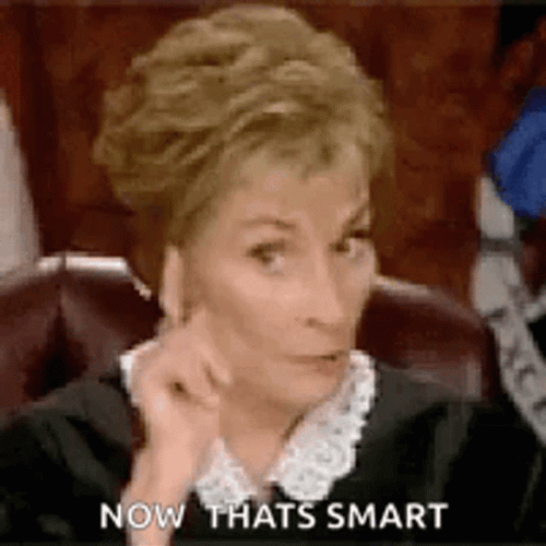Now That's Smart Judge Judy GIF