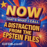 Now That 'S What I Call A Distraction From The Epstein Files Poster GIF