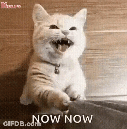 Now GIF