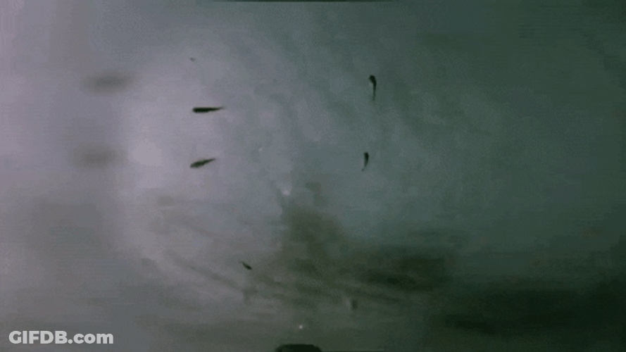Nuclear Explosion Aircraft Underwater GIF