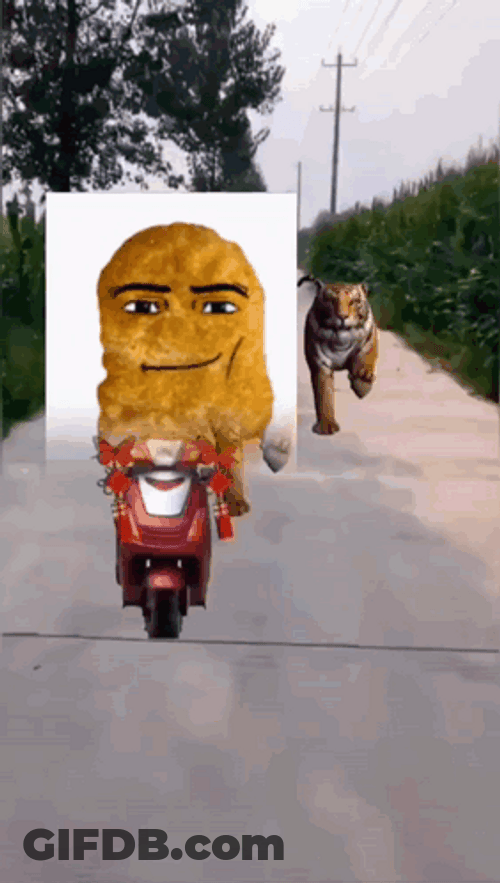 Nugget Riding A Bike Meme GIF