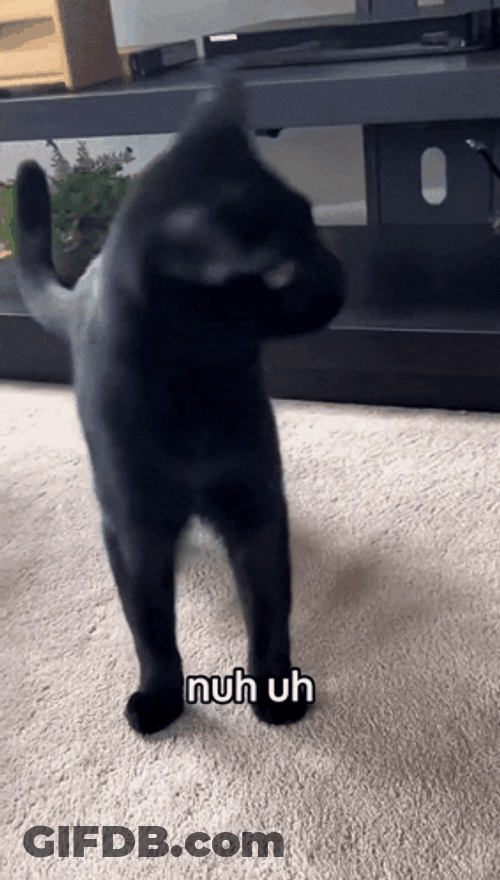 Nuh Uh Shake Head Cat GIF