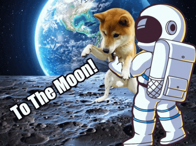 Nuke It From Orbit To The Moon GIF