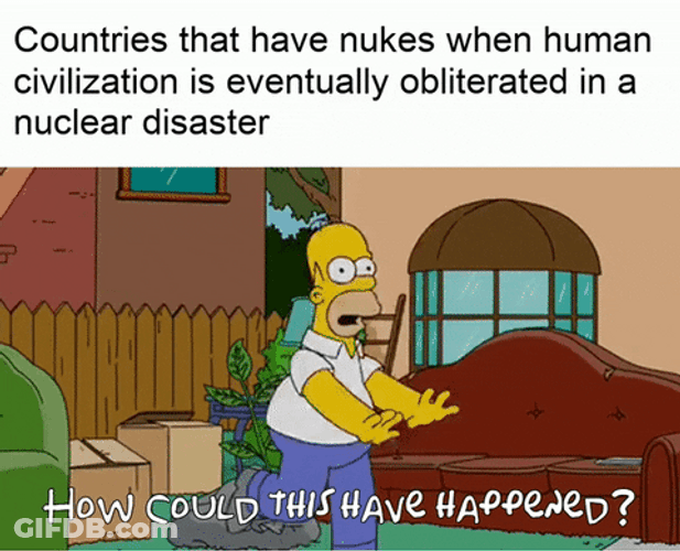 Nukie Simpsons Homer Meme GIF