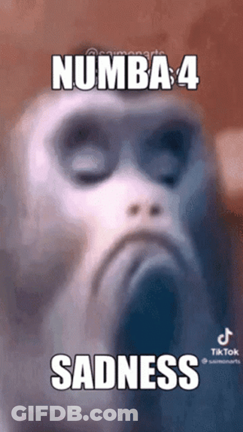 Numba 4 Monkey Sadness GIF