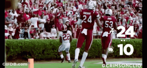 Number 24 On Football Player Back GIF