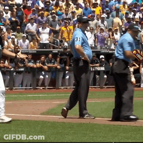 Number 31 On Baseball Umpire Back GIF