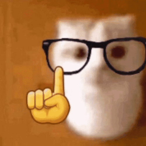 Number One Nerd Cat K Pop Meme GIF