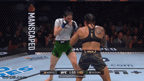 Nunes And Aldona Fighting In UFC Championship Match GIF