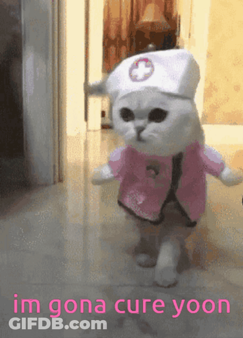 Nurse Cat I'm Gonna Cure Yoon GIF