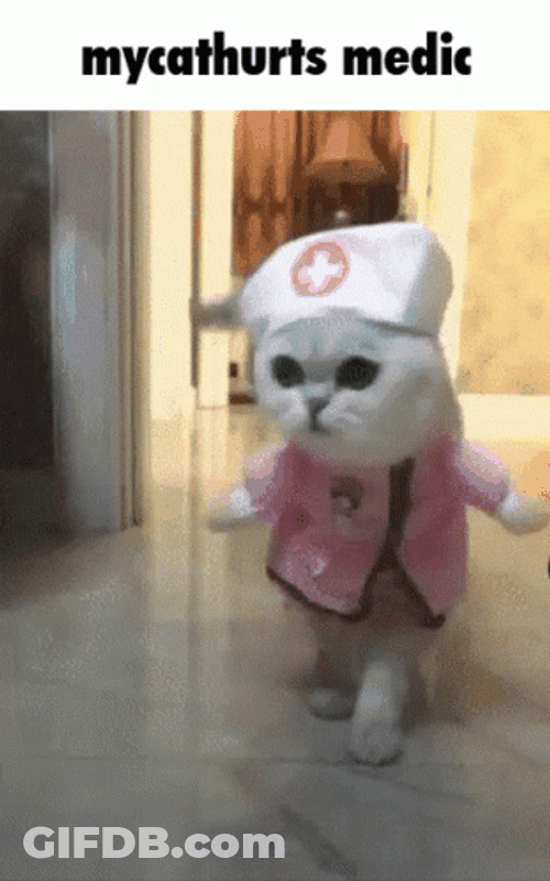 Nurse Cat Medic Cute Costume GIF