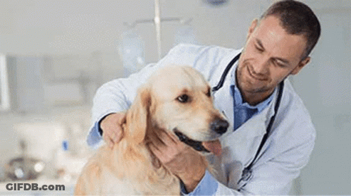 Nurses And Doctor Posing And Smiling GIF