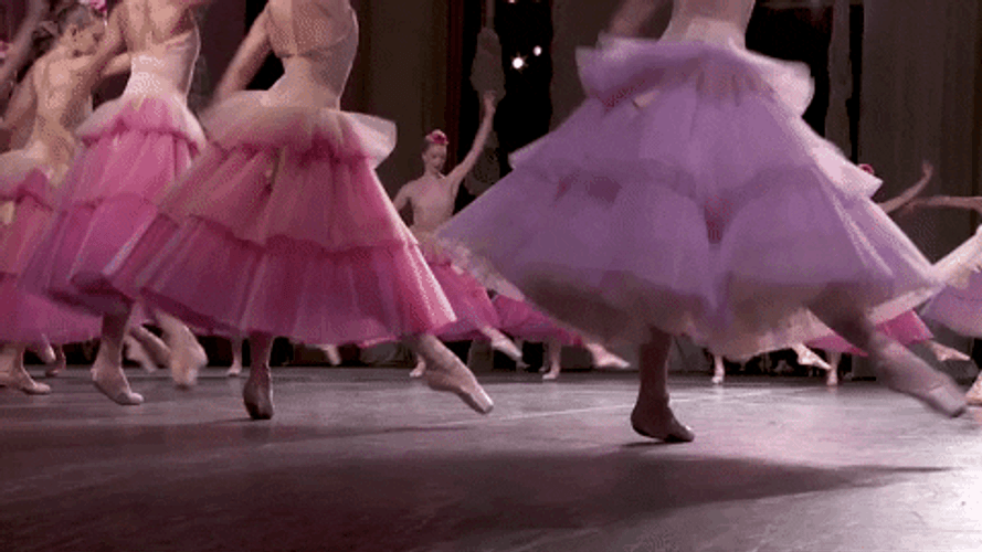 Nutcracker Ballet Waltz Of Flower GIF