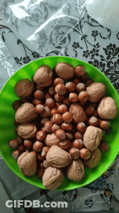 Nuts In The Bowl GIF