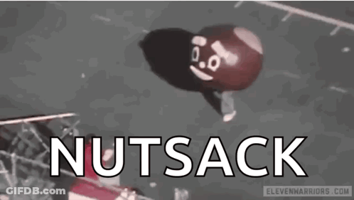 Nutsack Balloon With Face Flying GIF