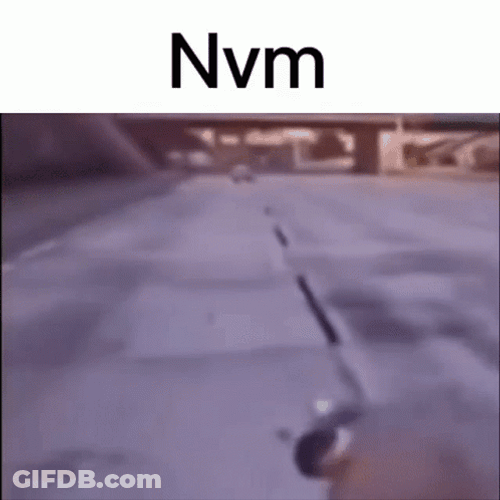 Nvm Car Crash Meme GIF