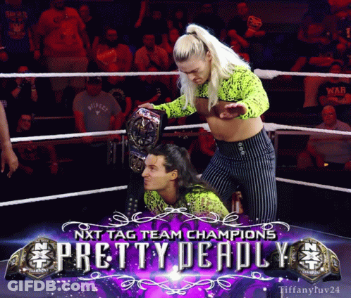 NXT Tag Team Champions Pretty Deadly Ring Poster GIF
