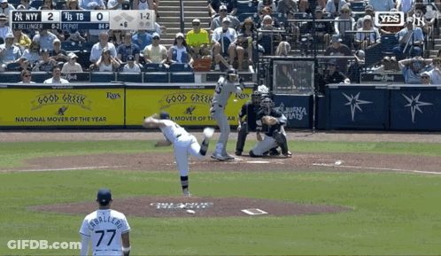 NY Yankees Vs TB Yankees Baseball Game GIF