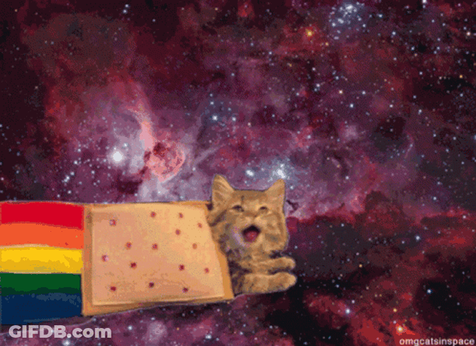Nyan Cat On Outer Space GIF
