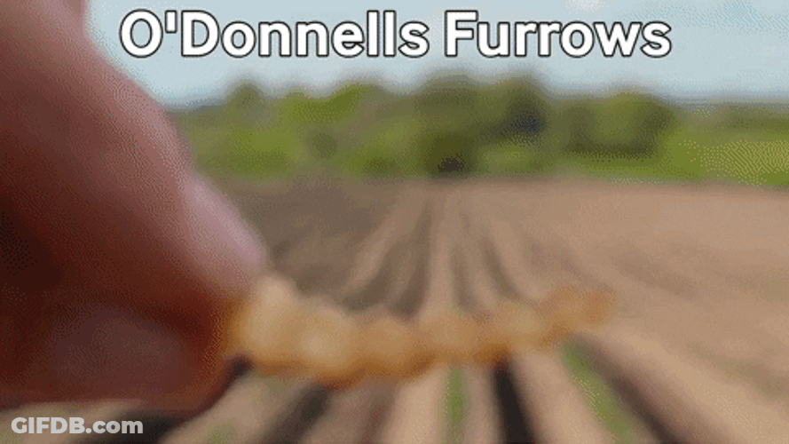O Donnells Furrows Potato Chip Display GIF
