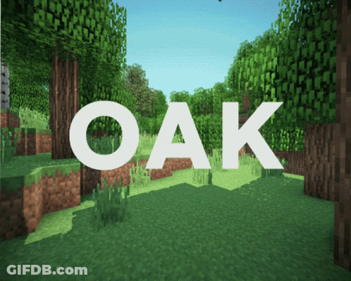 Oak Word In Minecraft Scene GIF