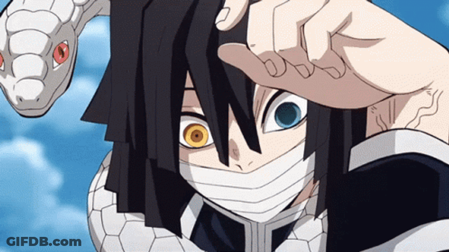 Obanai And Giyu Tomioka GIF