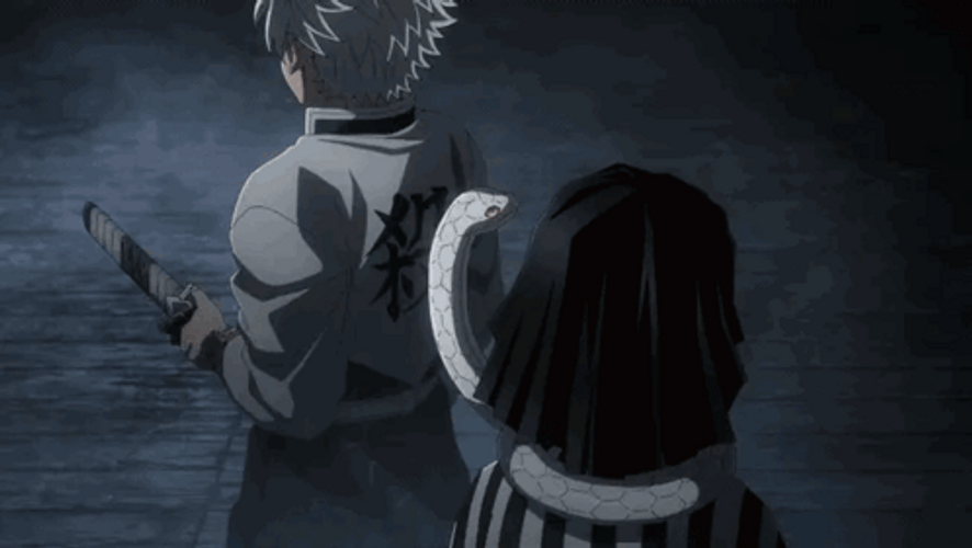 Obanai And Sanemi Shinazugawa GIF