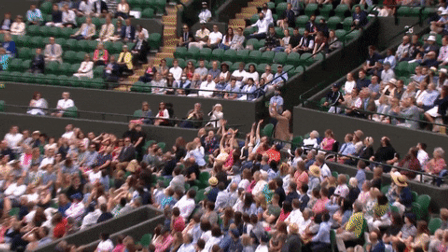 Obj One Handed Catch By The Audience GIF