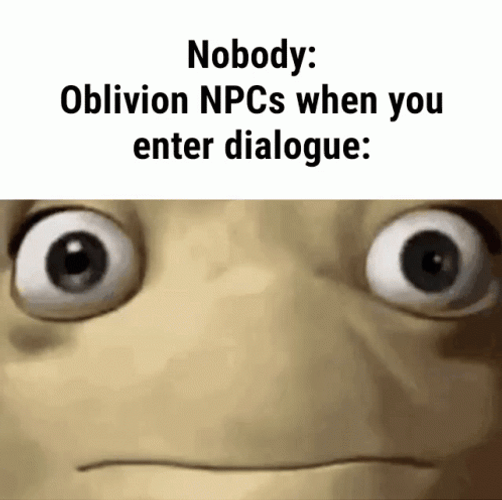 Oblivion Npc Wide Eyes Meme GIF