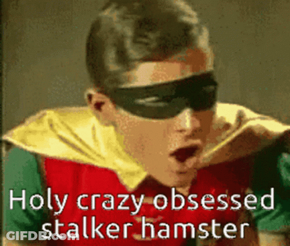 Obsessed Stalker Hamster Robin GIF