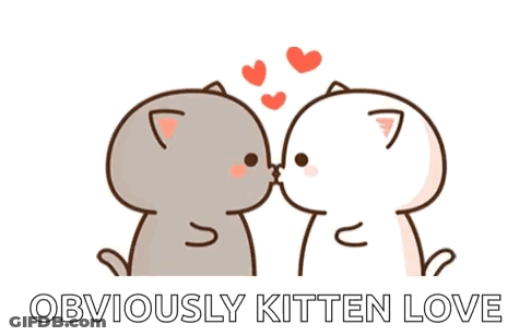 Obviously Kitten Love Cats Hearts GIF