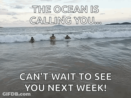 Ocean Is Calling You Can't Wait To See You Next Week GIF