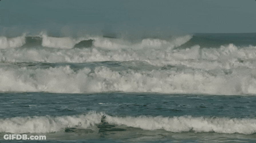 Ocean Waves Perfect For Surfing GIF
