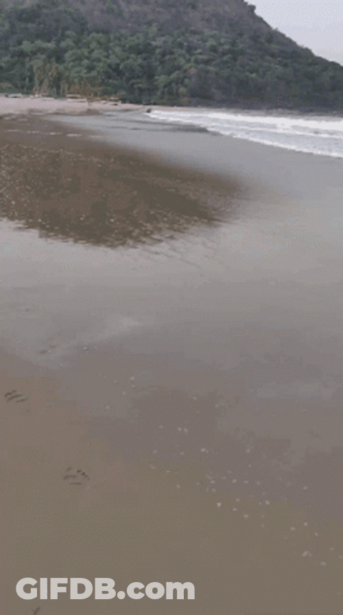 Ocean Waves Reaching Shoreline GIF
