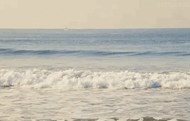 Ocean Waves Relaxing View GIF